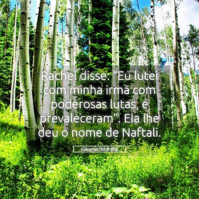 Picture 05 - Gênesis 30:8 BSL - Rachel disse: “Eu lutei com minha irmã com - Bible Verse Picture