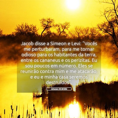Picture 05 - Gênesis 34:30 BSL - Jacob disse a Simeon e Levi: “Vocês me - Bible Verse Picture