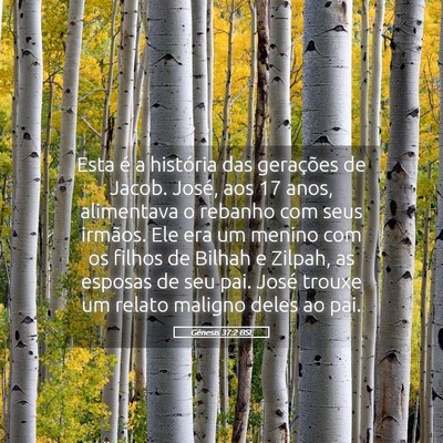 Picture 05 - Gênesis 37:2 BSL - Esta é a história das gerações de Jacob. - Bible Verse Picture