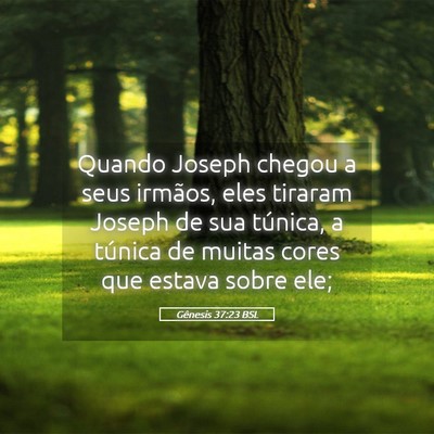 Picture 05 - Gênesis 37:23 BSL - Quando Joseph chegou a seus irmãos, eles tiraram - Bible Verse Picture