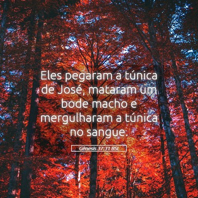 Picture 05 - Gênesis 37:31 BSL - Eles pegaram a túnica de José, mataram um bode - Bible Verse Picture