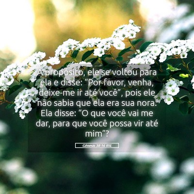 Picture 05 - Gênesis 38:16 BSL - A propósito, ele se voltou para ela e disse: - Bible Verse Picture