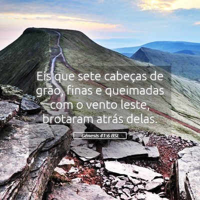 Picture 05 - Gênesis 41:6 BSL - Eis que sete cabeças de grão, finas e queimadas - Bible Verse Picture