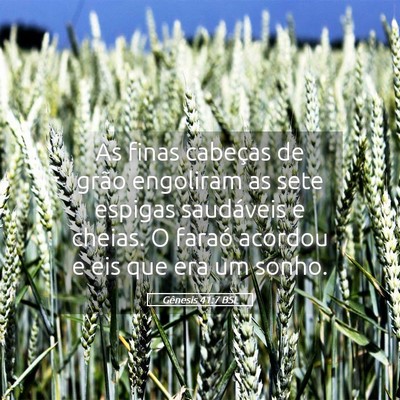 Picture 05 - Gênesis 41:7 BSL - As finas cabeças de grão engoliram as sete - Bible Verse Picture