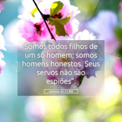 Picture 05 - Gênesis 42:11 BSL - Somos todos filhos de um só homem; somos homens - Bible Verse Picture