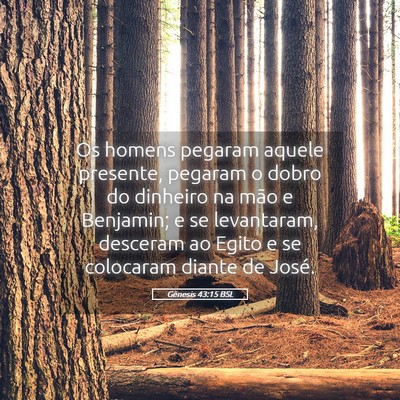 Picture 05 - Gênesis 43:15 BSL - Os homens pegaram aquele presente, pegaram o - Bible Verse Picture