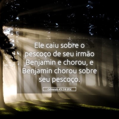 Picture 05 - Gênesis 45:14 BSL - Ele caiu sobre o pescoço de seu irmão Benjamin - Bible Verse Picture
