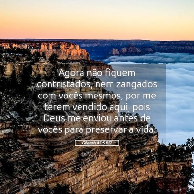 Picture 05 - Gênesis 45:5 BSL - Agora não fiquem contristados, nem zangados com - Bible Verse Picture