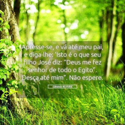 Picture 05 - Gênesis 45:9 BSL - Apresse-se, e vá até meu pai, e diga-lhe: 'Isto - Bible Verse Picture
