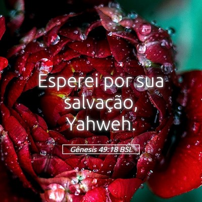 Picture 05 - Gênesis 49:18 BSL - Esperei por sua salvação, - Bible Verse Picture