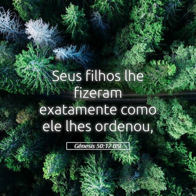 Picture 05 - Gênesis 50:12 BSL - Seus filhos lhe fizeram exatamente como ele lhes - Bible Verse Picture