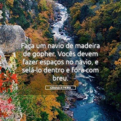 Picture 05 - Gênesis 6:14 BSL - Faça um navio de madeira de gopher. Vocês devem - Bible Verse Picture