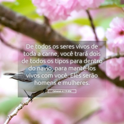 Picture 05 - Gênesis 6:19 BSL - De todos os seres vivos de toda a carne, você - Bible Verse Picture