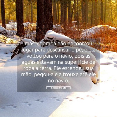 Picture 05 - Gênesis 8:9 BSL - mas a pomba não encontrou lugar para descansar o - Bible Verse Picture