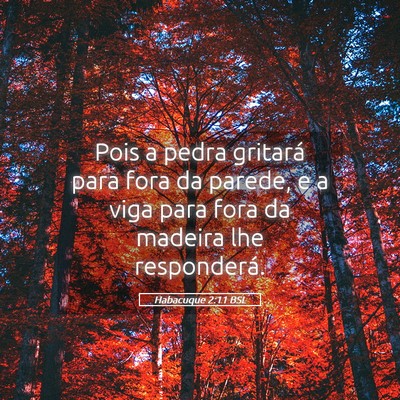 Picture 05 - Habacuque 2:11 BSL - Pois a pedra gritará para fora da parede, e a - Bible Verse Picture