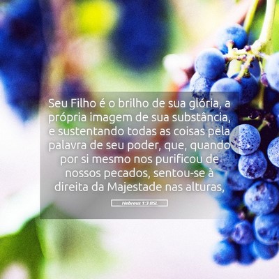 Picture 05 - Hebreus 1:3 BSL - Seu Filho é o brilho de sua glória, a própria - Bible Verse Picture