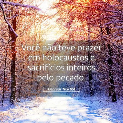 Picture 05 - Hebreus 10:6 BSL - Você não teve prazer em holocaustos e - Bible Verse Picture