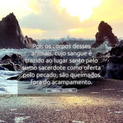 Picture 05 - Hebreus 13:11 BSL - Pois os corpos desses animais, cujo sangue é - Bible Verse Picture