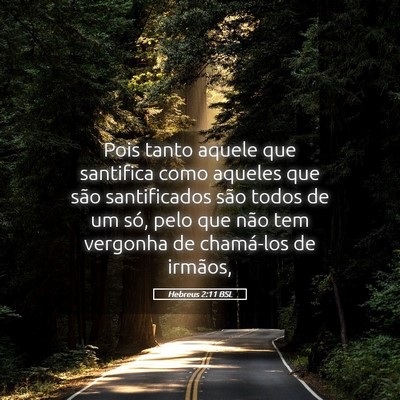 Picture 05 - Hebreus 2:11 BSL - Pois tanto aquele que santifica como aqueles que - Bible Verse Picture