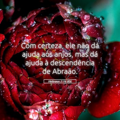 Picture 05 - Hebreus 2:16 BSL - Com certeza, ele não dá ajuda aos anjos, mas - Bible Verse Picture
