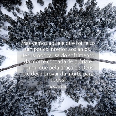 Picture 05 - Hebreus 2:9 BSL - Mas vemos aquele que foi feito um pouco inferior - Bible Verse Picture