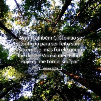 Picture 05 - Hebreus 5:5 BSL - Assim também Cristo não se glorificou para ser - Bible Verse Picture