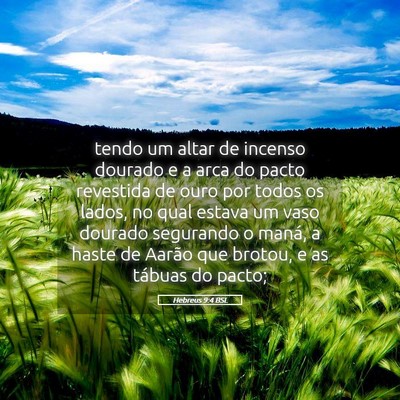 Picture 05 - Hebreus 9:4 BSL - tendo um altar de incenso dourado e a arca do - Bible Verse Picture