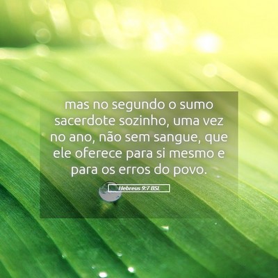 Picture 05 - Hebreus 9:7 BSL - mas no segundo o sumo sacerdote sozinho, uma vez - Bible Verse Picture