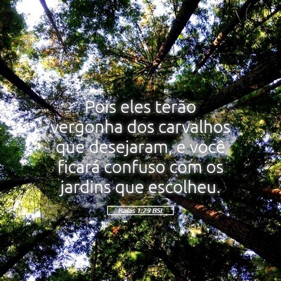 Picture 05 - Isaías 1:29 BSL - Pois eles terão vergonha dos carvalhos que - Bible Verse Picture