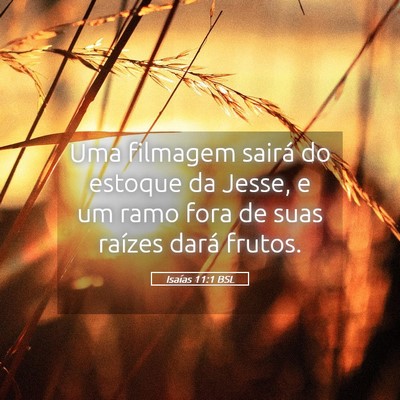 Picture 05 - Isaías 11:1 BSL - Uma filmagem sairá do estoque da Jesse, e um - Bible Verse Picture