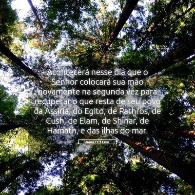 Picture 05 - Isaías 11:11 BSL - Acontecerá nesse dia que o Senhor colocará sua - Bible Verse Picture