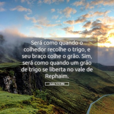 Picture 05 - Isaías 17:5 BSL - Será como quando o colhedor recolhe o trigo, e - Bible Verse Picture