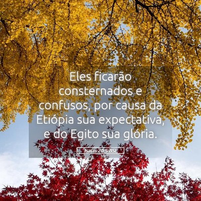 Picture 05 - Isaías 20:5 BSL - Eles ficarão consternados e confusos, por causa - Bible Verse Picture