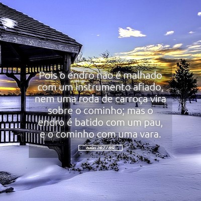 Picture 05 - Isaías 28:27 BSL - Pois o endro não é malhado com um instrumento - Bible Verse Picture