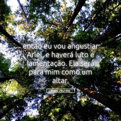Picture 05 - Isaías 29:2 BSL - então eu vou angustiar Ariel, e haverá luto e - Bible Verse Picture