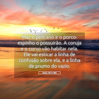 Picture 05 - Isaías 34:11 BSL - Mas o pelicano e o porco-espinho o possuirão. A - Bible Verse Picture