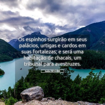 Picture 05 - Isaías 34:13 BSL - Os espinhos surgirão em seus palácios, urtigas - Bible Verse Picture
