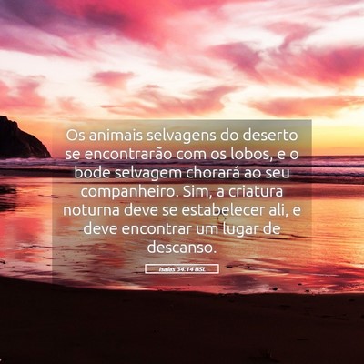 Picture 05 - Isaías 34:14 BSL - Os animais selvagens do deserto se encontrarão - Bible Verse Picture
