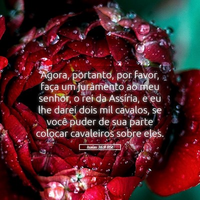 Picture 05 - Isaías 36:8 BSL - Agora, portanto, por favor, faça um juramento ao - Bible Verse Picture
