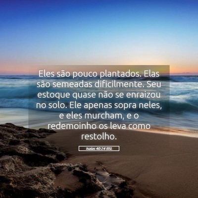 Picture 05 - Isaías 40:24 BSL - Eles são pouco plantados. Elas são semeadas - Bible Verse Picture