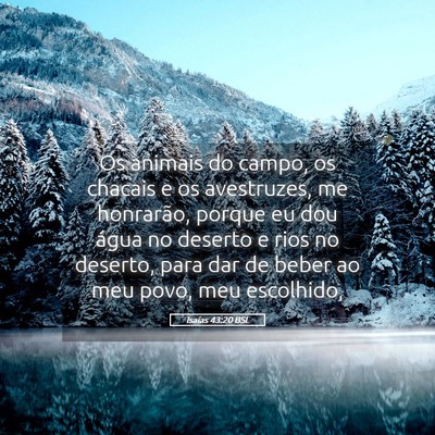 Picture 05 - Isaías 43:20 BSL - Os animais do campo, os chacais e os avestruzes, - Bible Verse Picture