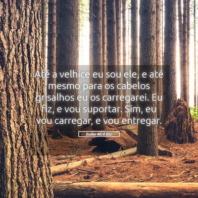 Picture 05 - Isaías 46:4 BSL - Até a velhice eu sou ele, e até mesmo para os - Bible Verse Picture