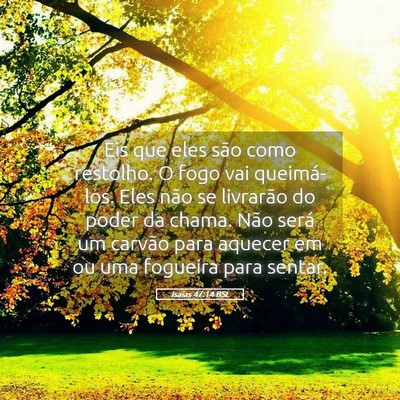 Picture 05 - Isaías 47:14 BSL - Eis que eles são como restolho. O fogo vai - Bible Verse Picture