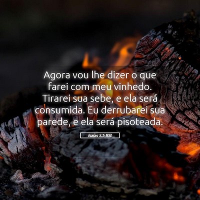 Picture 05 - Isaías 5:5 BSL - Agora vou lhe dizer o que farei com meu vinhedo. - Bible Verse Picture