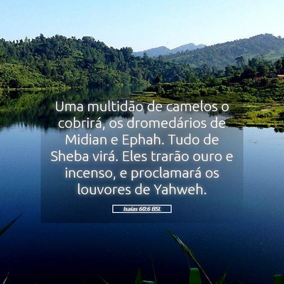 Picture 05 - Isaías 60:6 BSL - Uma multidão de camelos o cobrirá, os - Bible Verse Picture