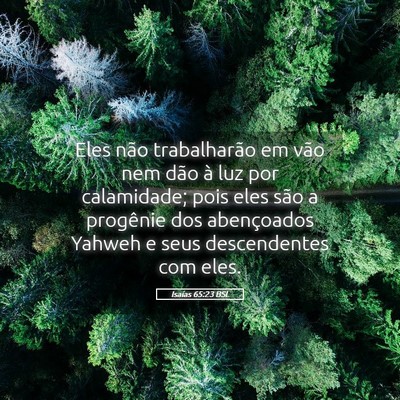 Picture 05 - Isaías 65:23 BSL - Eles não trabalharão em vão nem dão à luz - Bible Verse Picture