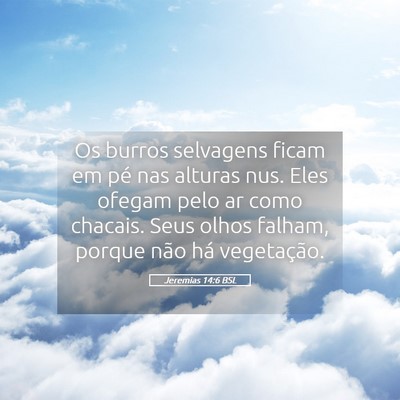 Picture 05 - Jeremias 14:6 BSL - Os burros selvagens ficam em pé nas alturas nus. - Bible Verse Picture