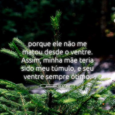 Picture 05 - Jeremias 20:17 BSL - porque ele não me matou desde o ventre. Assim, - Bible Verse Picture
