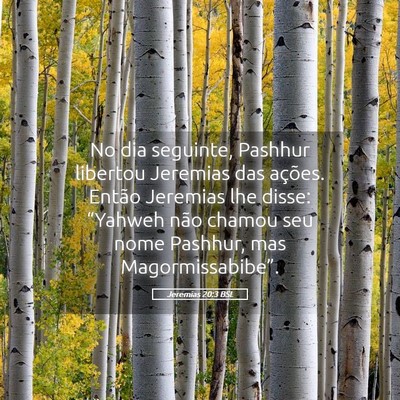 Picture 05 - Jeremias 20:3 BSL - No dia seguinte, Pashhur libertou Jeremias das - Bible Verse Picture