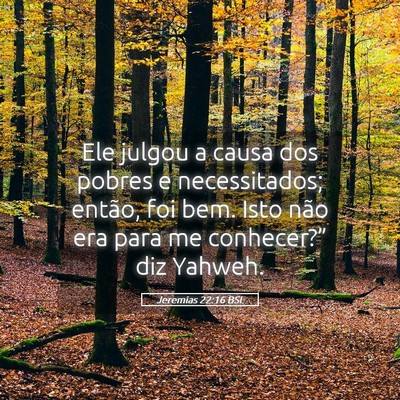 Picture 05 - Jeremias 22:16 BSL - Ele julgou a causa dos pobres e necessitados; - Bible Verse Picture
